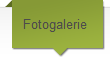 Fotogalerie